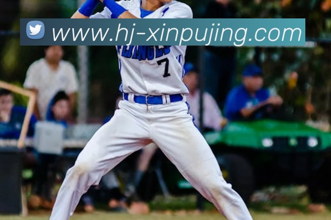 澳门新葡京娱乐服务体系